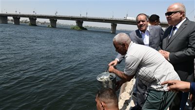 محافظ قنا يشهد إنزال نصف مليون زريعة سمك بلطي بنهر النيل 