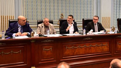 إسكان النواب تطالب بحل مشكلات الصرف الصحي في ظل الموازنة الجديدة 