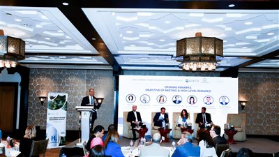 التخطيط تشارك في ورشة عمل لتنمية الهيدروجين منخفض الكربون في مصر