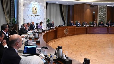 رئيس الوزراء: نتطلع لتحقيق طفرة في ملف توطين صناعة السيارات