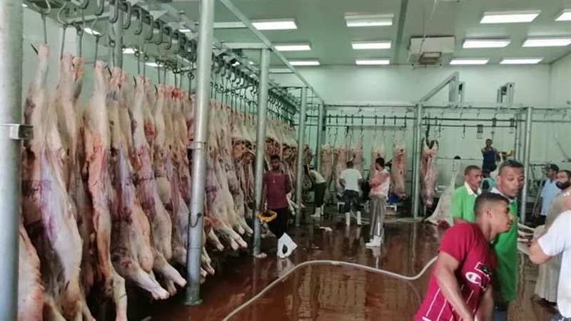 المجازر المسموح الذبح