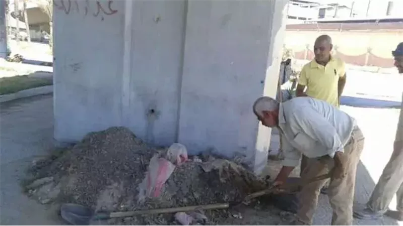  كوبري محرم، فيتو