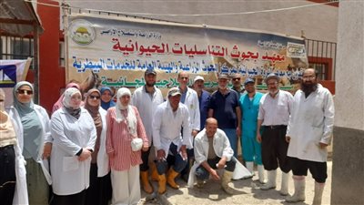 علاج وفحص 3 آلاف رأس ماشية مجانًا بدمياط ضمن مبادرة حياة كريمة