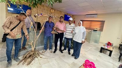 محصول القرن، نجاح زراعة الكسافا في الوادي الجديد لسد فجوة دقيق القمح