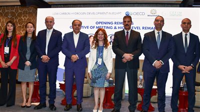 شريف الجبلي: مصر وقعت 30 مذكرة تفاهم لتطوير مشروعات الهيدروجين الأخضر