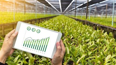 مدبولي يكشف أهمية المنظومة الرقمية في رسم السياسات الزراعية (إنفوجراف)