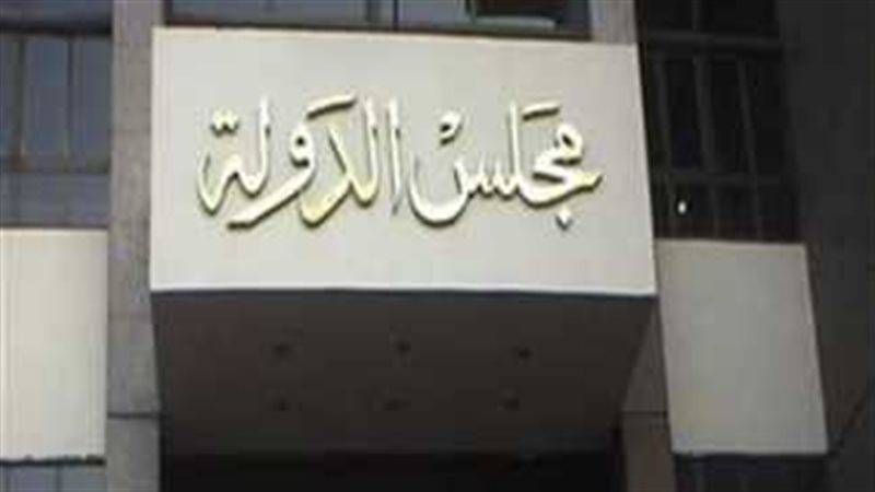 مجلس الدولة 