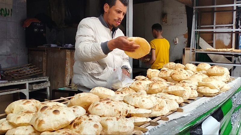 اسعار الخبز السياحي،