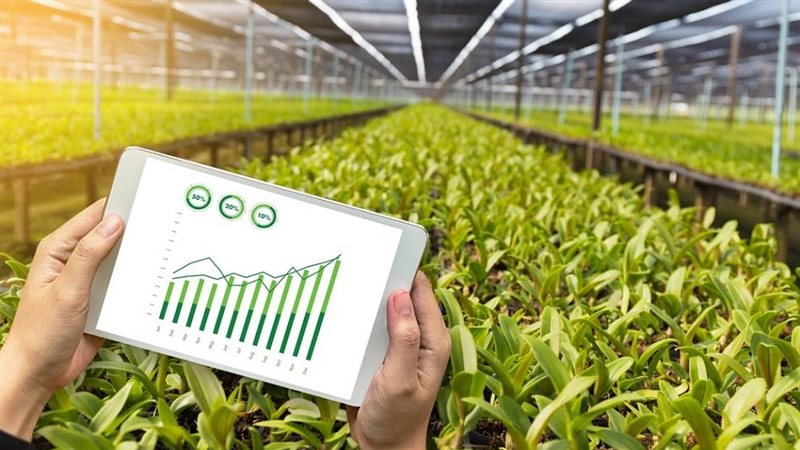 المنظومة الرقمية،