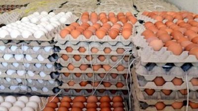  أسعار البيض تواصل الارتفاع في الأسواق