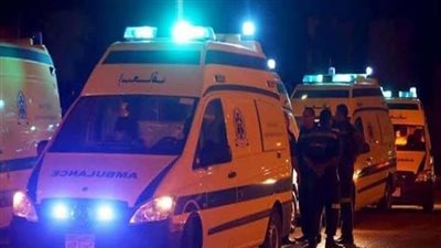 مصرع شخصين وإصابة 6 آخرين في تصادم ميكروباص وملاكي بالغربية