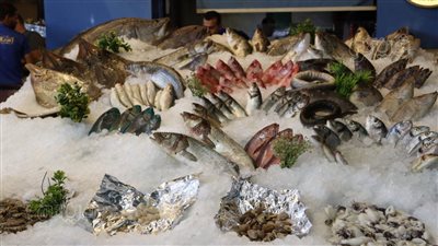 أسعار الأسماك اليوم، الماكريل يبدأ من 100 جنيه بسوق العبور