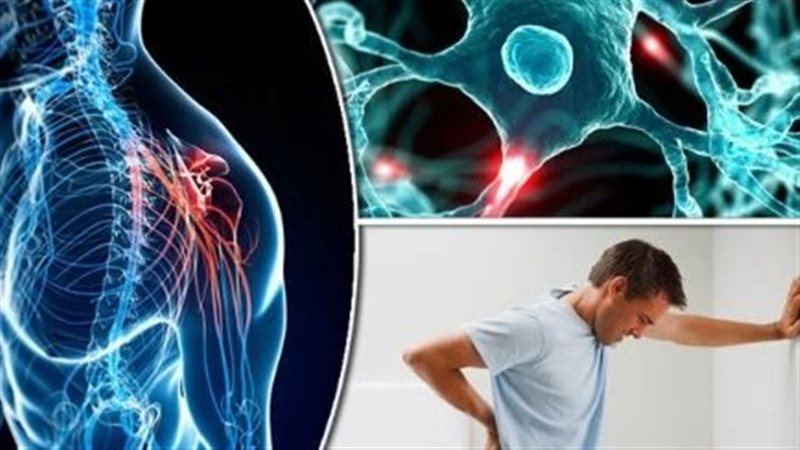 مرض التصلب المتعدد،فيتو