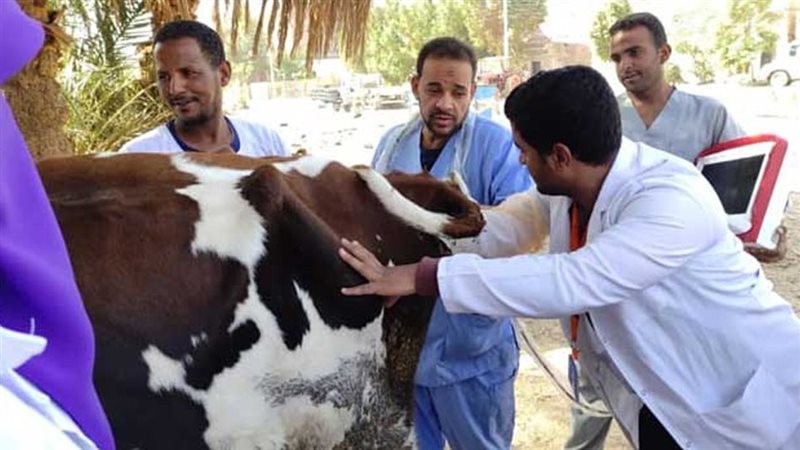 قافلة بيطرية بالجيزة،