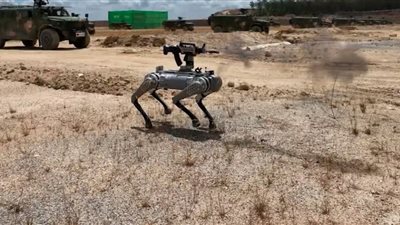 عضو جديد في العمليات القتالية، الصين تستعرض كلبًا آليًا يحمل بندقية