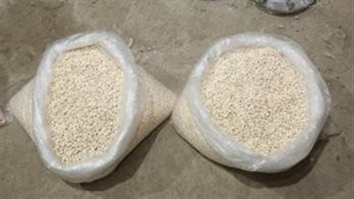 إحباط محاولة تهريب عقار الكبتاجون المخدر بـ 87 مليون جنيه (صور) 