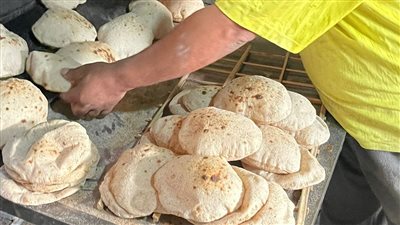 وزير التموين: انتظام صرف الخبز المدعم لأصحاب البطاقات ولا تغيير في حصة المواطن 