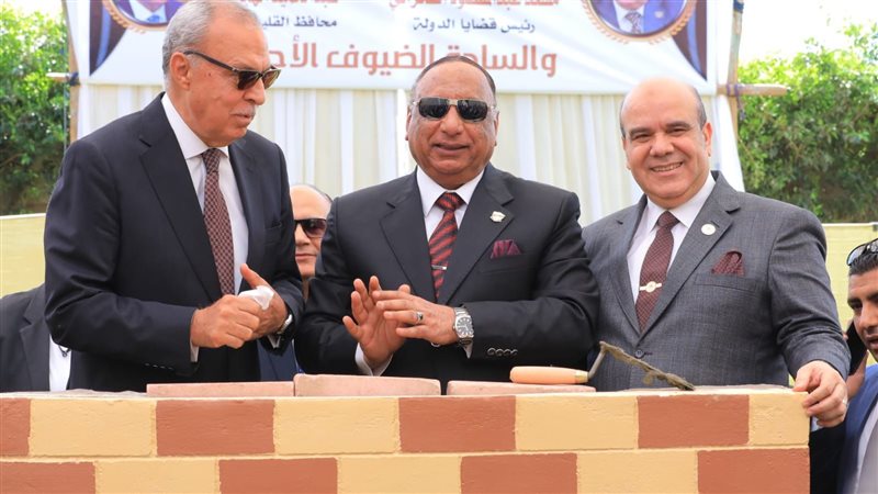 قضايا الدولة،فيتو