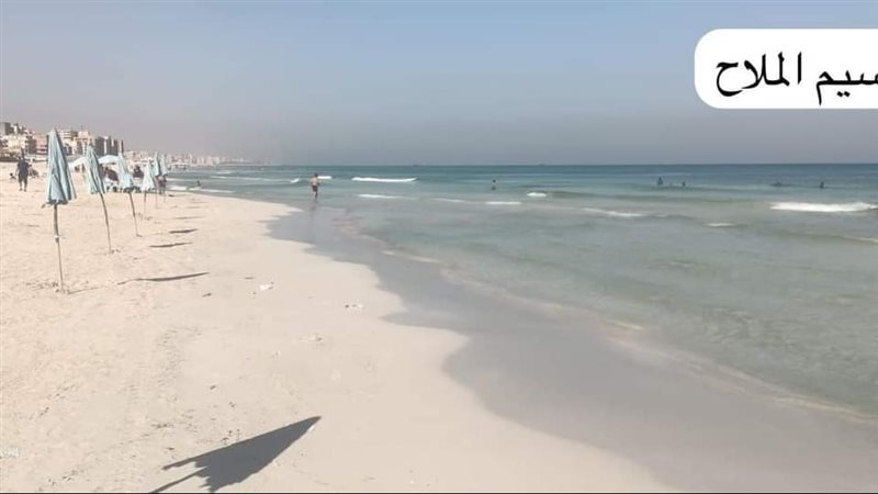 الإسكندرية،فيتو