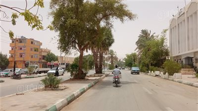 رياح محملة بالأتربة تضرب عددا من واحات الوادي الجديد (صور)