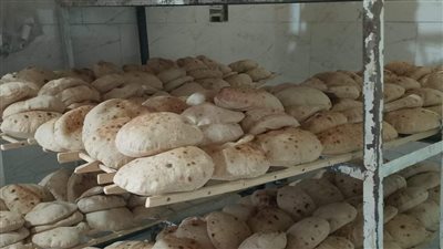 حملات تموينية على مخابز الوادي الجديد بعد رفع سعر الخبز المدعم 