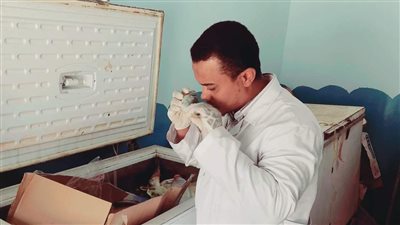 ضبط لحوم وكبدة فاسدة بأحد محلات المأكولات في الوادي الجديد 