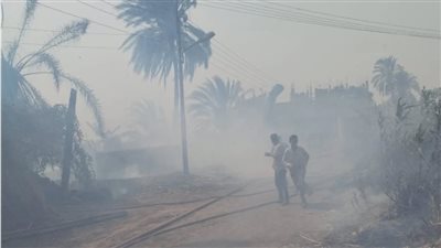 حريق هائل يدمر 14 منزلا وإصابة 8 أشخاص في سوهاج (صور)