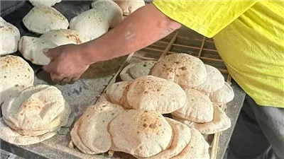 وزير التموين: رفضنا مقترحا بخفض حصة المواطن إلى 3 أرغفة يوميا