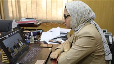 نائب محافظ الوادي الجديد تشارك باجتماع منظمة التعاون الاقتصادي والتنمية