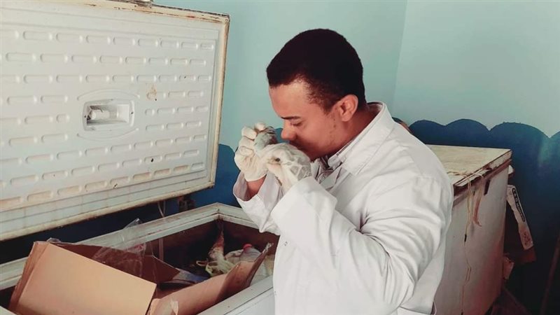 مخالفات تموينية،