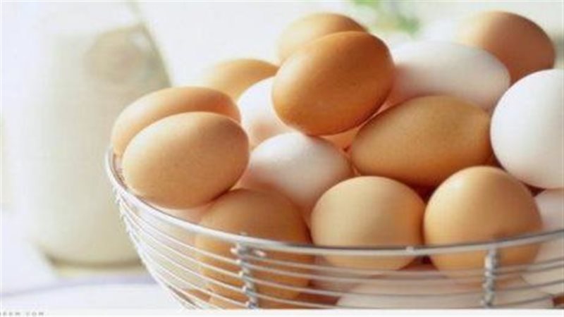 أسعار البيض اليوم