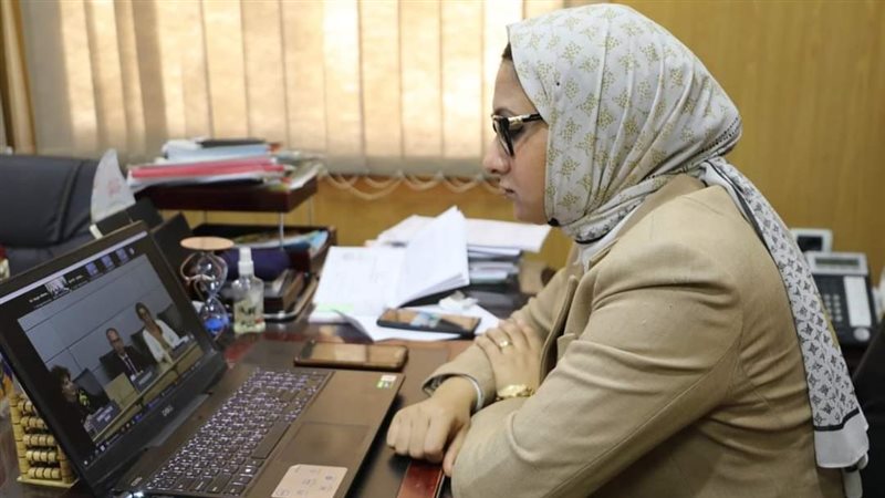 نائب محافظ الوادي