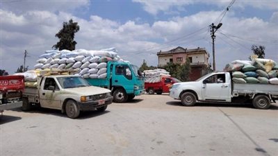  صوامع الشرقية تستقبل 603 آلاف طن قمح محلى 