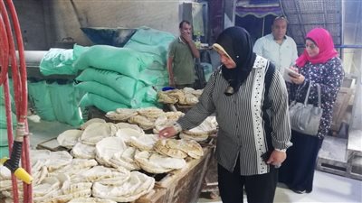 تحرير 511 محضرا خلال حملات تموينية على المخابز بـ16 مركزا في الدقهلية 