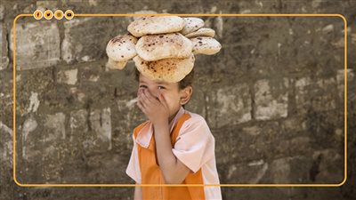 نصيب الفرد من الخبز والدقيق المدعم بعد تعديل الأسعار (إنفوجراف)