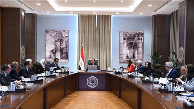 مدبولي يشيد بانخفاض معدلات النمو السكاني والمواليد: أثره إيجابي على الوضع الاقتصادي 