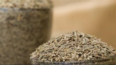 فوائد الكمون، يقوي العضلات والمناعة ويعالج نزلات البرد والأنفلونزا 