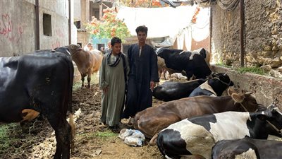 ما حكم قص الشعر أو الأظافر للمضحي في العشر الأوائل من ذي الحجة؟ لجنة الفتوى توضح