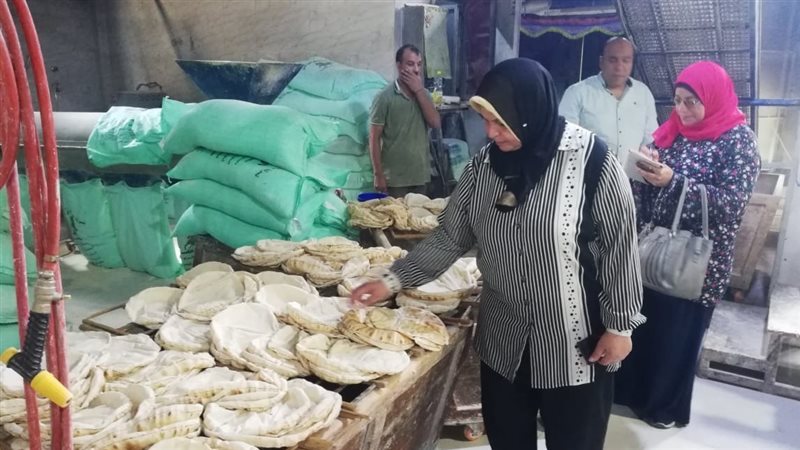 حملات تموينية بالدقهلية،