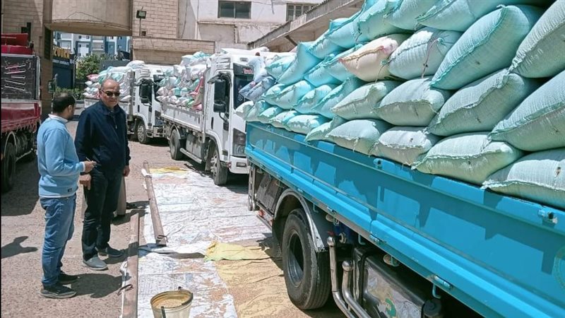 توريد القمح في الصوامع