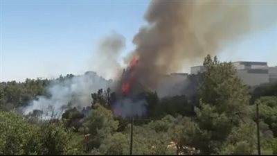 حريق هائل يخلف خسائر كبيرة بمؤسسة اتصالات الجزائر