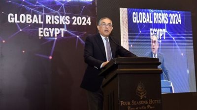هيئة الاستثمار: تنوع اقتصادنا يحمى مصر من المخاطر العالمية