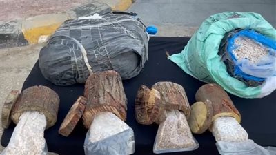 إحباط محاولة تهريب كميات من الكبتاجون المخدر بقيمة 125 مليون جنيه 