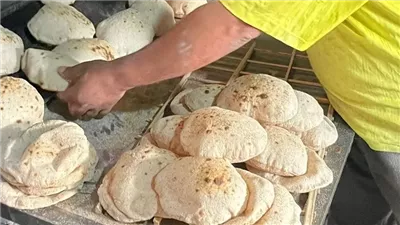 شعبة المخابز: إتاحة صرف الخبز المدعم للمواطنين في المصايف لمدة 3 شهور