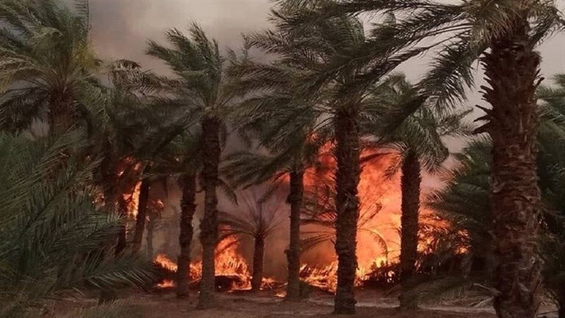 حريق، فيتو