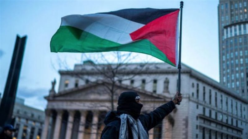فلسطين، فيتو