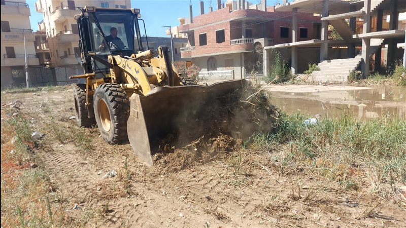 حملات نظافة بالدقهلية،