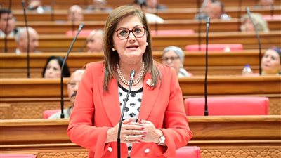 هالة السعيد: 4,5 مليار جنيه استثمارات عامة موجهة لمحافظة المنيا بعام 2023-2024