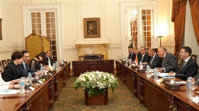 بدء جلسة المباحثات الموسعة بين مصر وقبرص (صور) 