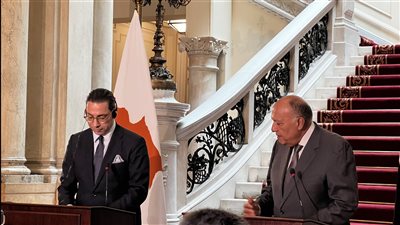 وزير خارجية قبرص: لا بديل عن المعابر البرية لدخول المساعدات إلى غزة 